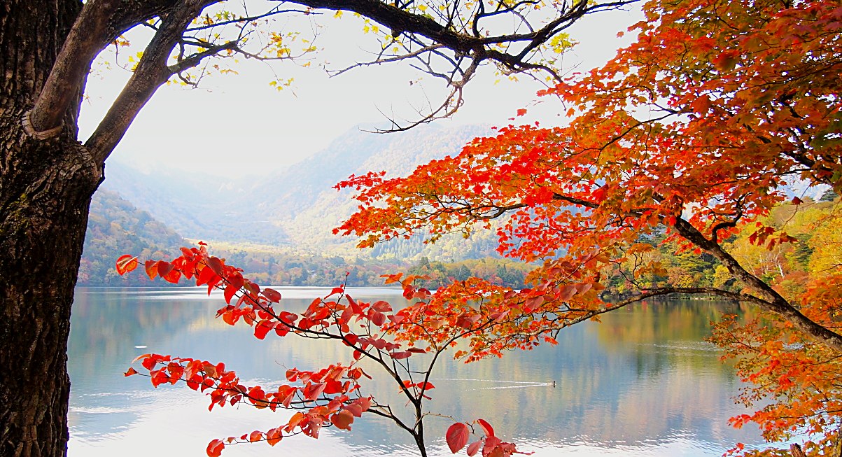 Japan – Goldene Route